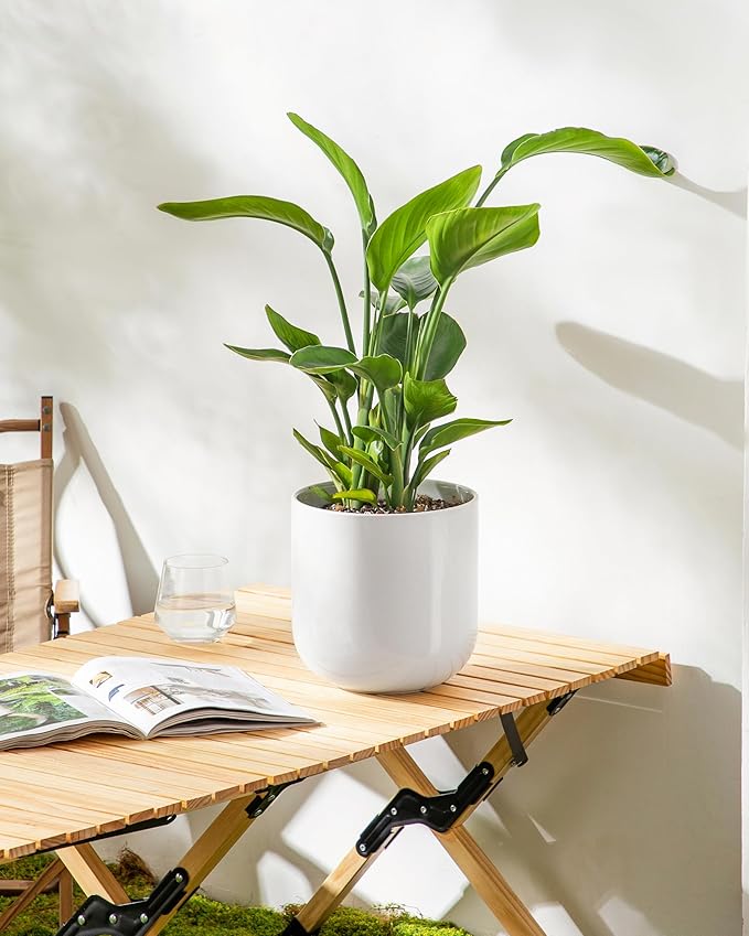 vancasso 8 Inch Ceramic Plant Pots, Planters - Image 7