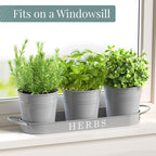 Barnyard Designs Indoor Herb Garden Planter Set - Image 3