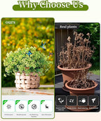 JAKY-Global Faux Artificial Plants Outdoor Flowers Spring Summer Decor 16 - Image 3