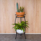 FaithLand 2 Pack Metal Plant Stands, Tall Planter Holder Indoor Outdoor - Image 2
