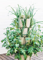 Greenstalk Patented Large 5 Tier Vertical Garden Planter - Image 9