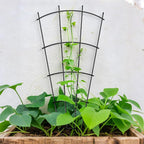 4 Pack 32'' Indoor Plant Trellis - Image 4
