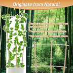 10 Pack 4ft Bamboo Trellis for Climbing Plants - Image 3