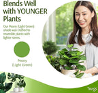 Mini Twigs Plant Support Stakes - Image 4
