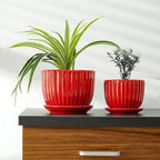 Ton Sin Ceramic Plant Pots - Image 5