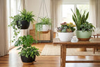 Hanging Planters, Matte Plastic Planters - Image 5