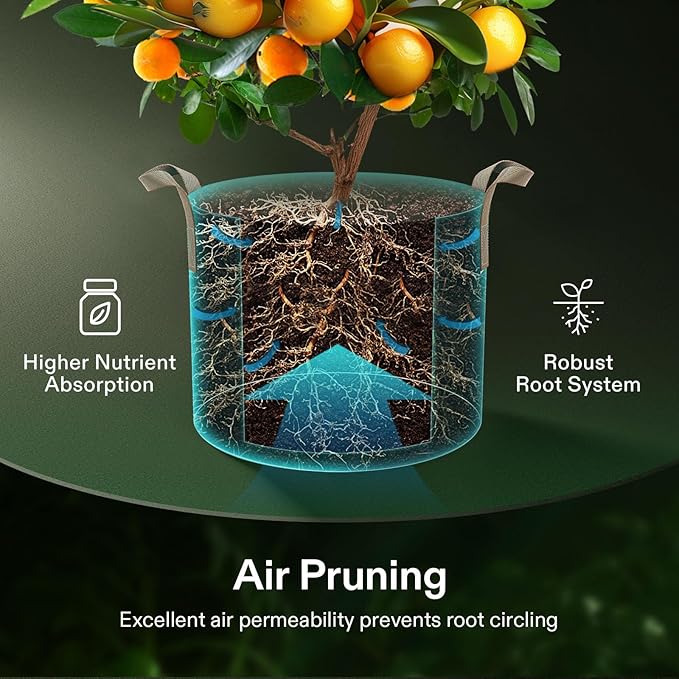 VIVOSUN 5-Pack 15 Gallons Grow Bags Heavy Duty Thickened Nonwoven Fabric Pots - Image 4