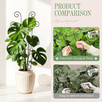 4 Pack 30 Inch Tall Metal Plant Trellis - Image 4