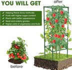 3 Pack Tomato Cages, Square Tomato Plant Stakes Support Cages Trellis - Image 3