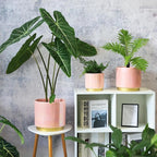 Gepege Pink Indoor Plant Pots for Plants, Ceramic Planter - Image 6