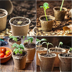 JERIA 100-Pack 3.15 Inch Peat Pots - Image 7