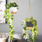 ZMTECH 6.5 Inch Hanging Planters - Image 4