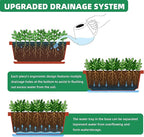 Window Box Planter, 12 Pack Plastic Vegetable Flower Planters Boxes 17 Inches - Image 3