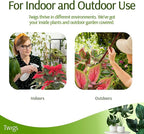 Mini Twigs Plant Support Stakes - Image 6