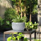 SQOWL Ceramic Planters - Image 5