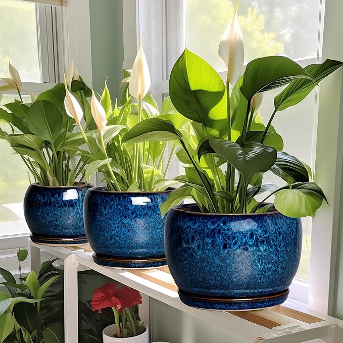 SQOWL 6 Inch Plant Pot - Image 6