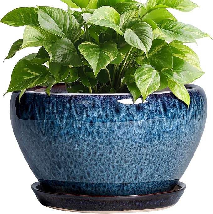 Ceramic Pots for Plants by Ceramicfor