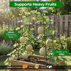 Garden Arch Trellis for Climbing Plants, Rustproof Steel Tunnel Support for - Image 4