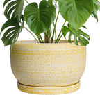 SQOWL Ceramic Planters for Indoor Plants by SQOWL