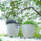8 inch Hanging Planters, 2 Pack Self Watering Hanging Pots - Image 4