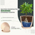 Utopia Home - Plant Pots Indoor - 7/6.6/6/5.3/4.8 Inches Home Decor Flower Pots - Image 3