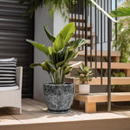 Ceramic Pots for Plants - Image 5