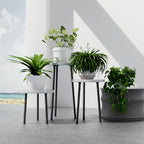 Plant Stand Indoor Tall: Corner Wood Plant Stand 2 Pack Mid Century Modern Decor - Image 7