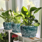 SQOWL 10 Inch Plant Pot - Image 6