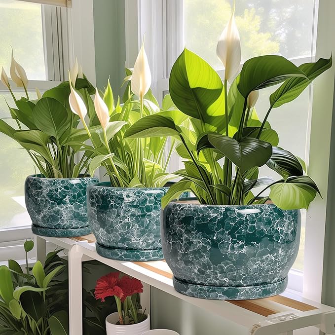 SQOWL 8 Inch Plant Pot - Image 6