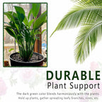 6 Pack Plant Support Stakes, 15.8" Half Round Metal Garden Plant Supports - Image 4