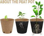 winemana 100 Pack Seed Starter Tray Kit, Biodegradable Peat Pots - Image 3