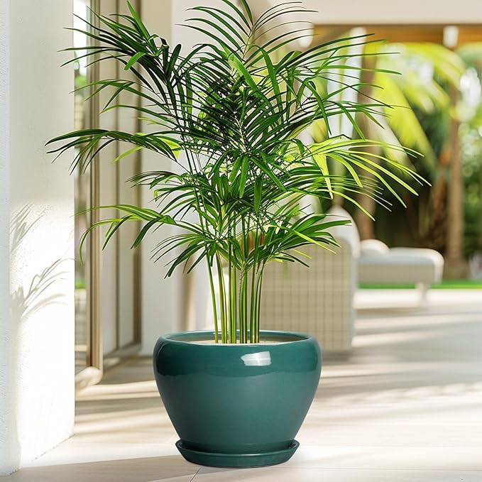 8 Inch Plant Pot - Image 4