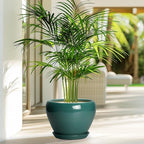 8 Inch Plant Pot - Image 4