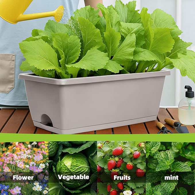 Window Box Planter, 12 Pack Plastic Vegetable Flower Planters Boxes 17 Inches - Image 2