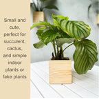 LaLaGreen Wooden Planter Box for Plants Small Square Wall Planters for Indoor - Image 4