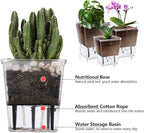 Self Watering Pots Set, 3 Pack 2.7 Inch Pots - Image 4