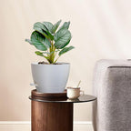 12/10/9 inch Large Self Watering Pots, Plant Pots - Image 6
