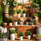 20 Pcs 3 Inch Self Watering Pots - Image 7