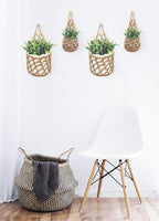 2 Packs Hanging Planters for Indoor Plants up to 6 in., Wall Plant Holder | - Image 5