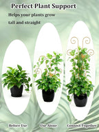 2 Pcs Tall Trellis for Potted Plants, Plant Pothos Climber Support for Monstera - Image 5