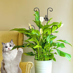 23in Plant Trellis Indoor, Trellis - Image 9