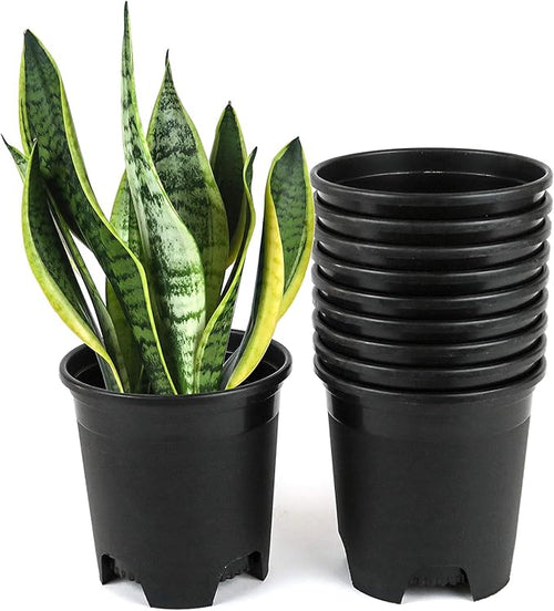 4.5 Inch Nursery Pot Plastic Planters by CottaPlanters
