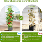2 Pack Raised Garden Bed Tomato Planter - Image 4