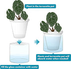 D'vine Dev 6 Inch Design Self Watering Planter - Image 6
