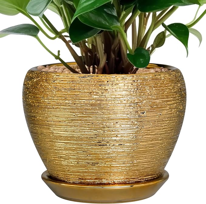 Indoor Plant Pot 6 Inch by Ceramicfor