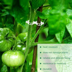 150 Pcs Plant Clips for Climbing Plants, Tomato Clips for Support, Plastic - Image 4