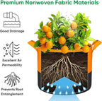 15-Gallon Grow Bags for Potato Planting: 6 Pack Heavy Duty 350G Thickened - Image 4
