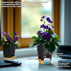 12 Pack 4 Inch Self Watering Plant Pots - Image 4