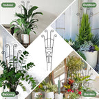32.6in Monstera Plant Support Stakes - Image 7