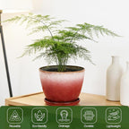 Worth Garden Plastic Round 8" Plant Pots - Image 3
